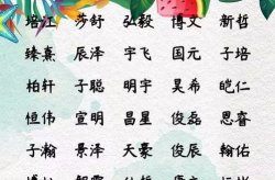 牛年崔姓宝宝取名大全男孩起名,寓意吉祥，彰显个性
