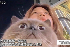 娱乐吃瓜猫作品原声,原声音乐中的视听盛宴与情感共鸣