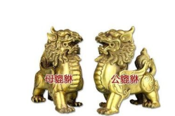 貔貅怎么分公母,探寻财运与财库的奥秘