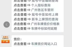 广州车牌摇号结果,中签率如何，摇号人数几何？
