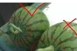 为什么吃瓜网打不开,为何“吃瓜网”突然无法访问之谜