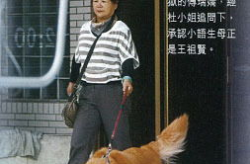 傅瑞娇,探寻艺术与生活的完美融合