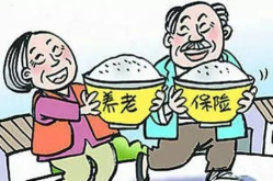 城乡基本养老保险,构建和谐社会的坚实保障