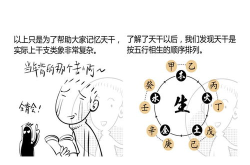 怎么学算命,从零基础到精通算命技艺